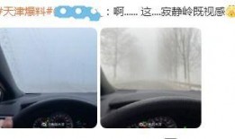 寂寞岭在线观看,沉浸式探险，揭开神秘古堡的幽暗面纱